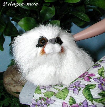 Tiny Kitty
